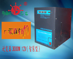 (3000W)